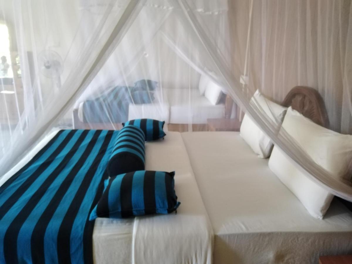 Blue Ribbon Homestay Ella Extérieur photo