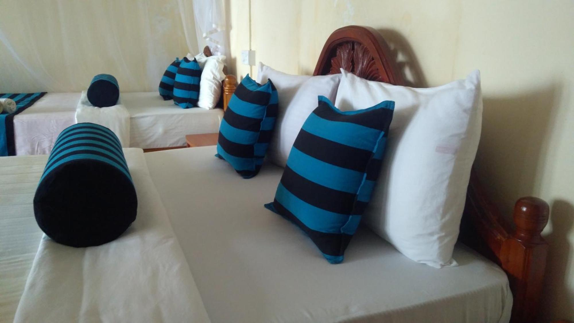 Blue Ribbon Homestay Ella Extérieur photo