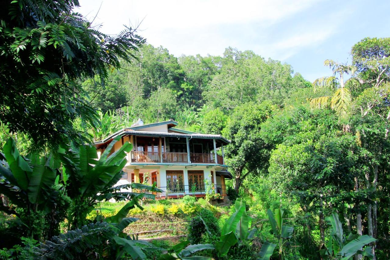 Blue Ribbon Homestay Ella Extérieur photo